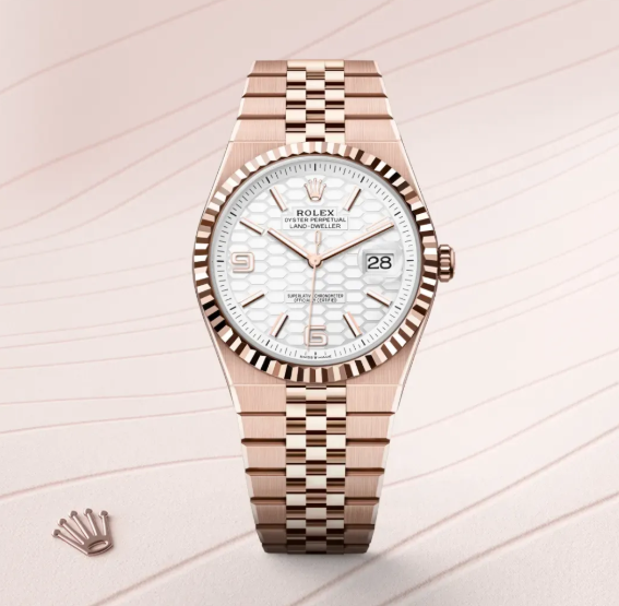 Rolex Land-Dweller 36 Intense White 1