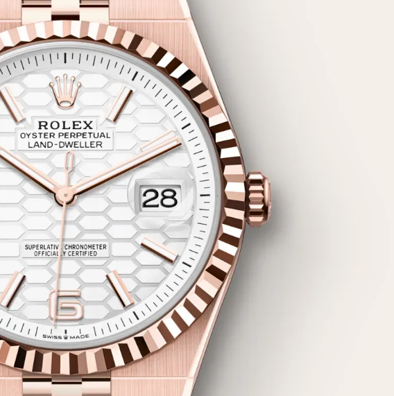 Rolex Land-Dweller 36 Intense White 1