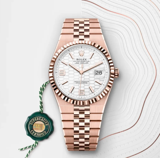 Rolex Land-Dweller 36 Intense White 1